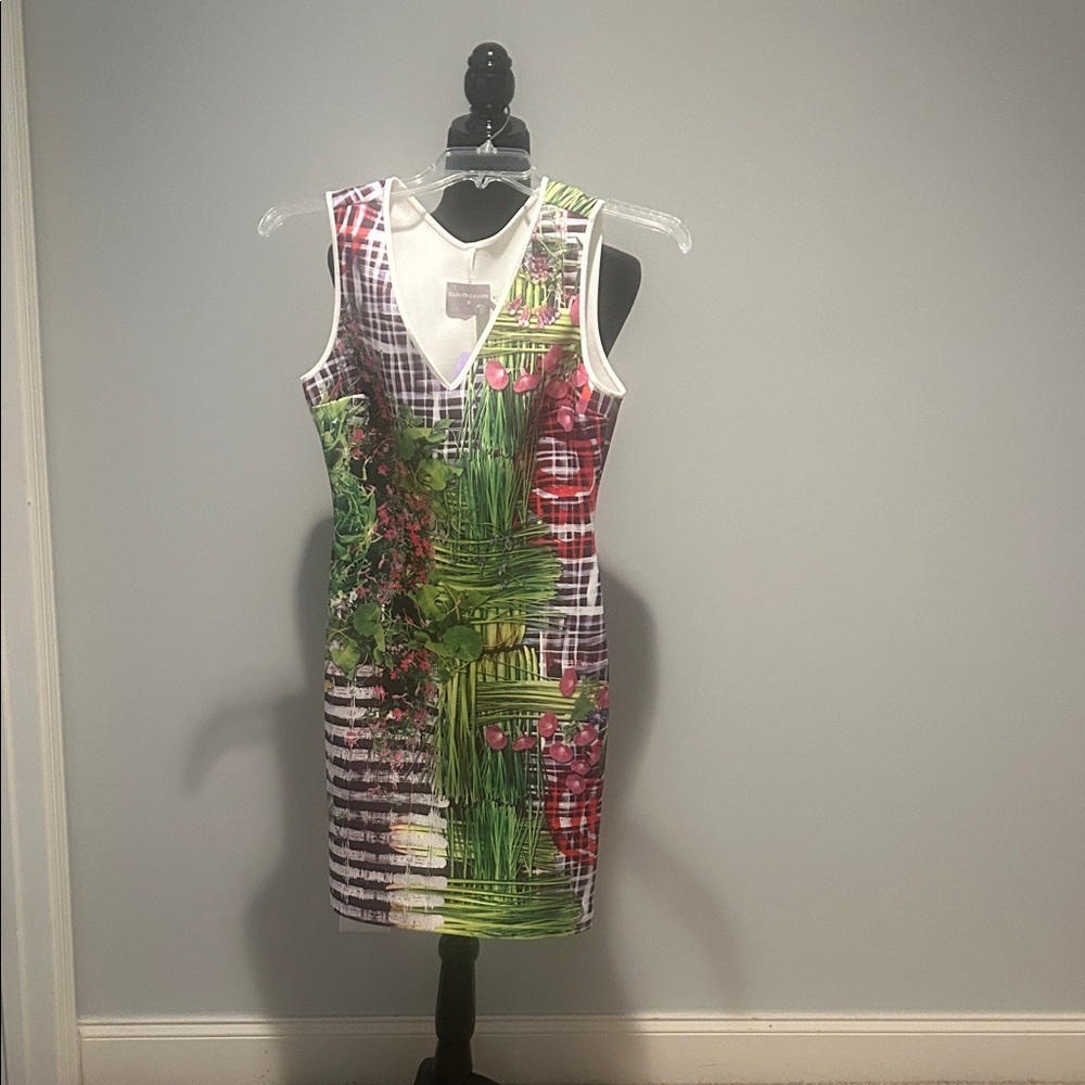 Floral Clover Canyon Print Sleeveless Dress New With Tags Size Medium